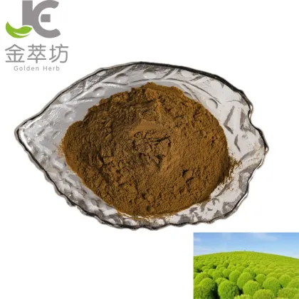 Fructus Kochiae Extract Powder Belvedere Fruit Extract Difuzi Extract