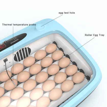 40 Capacity Incubator Egg Hatching Machine: Chicken Egg Incubator and Hatcher for Sale