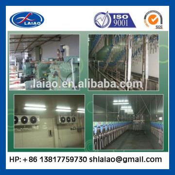 chicken slaughtering processing room