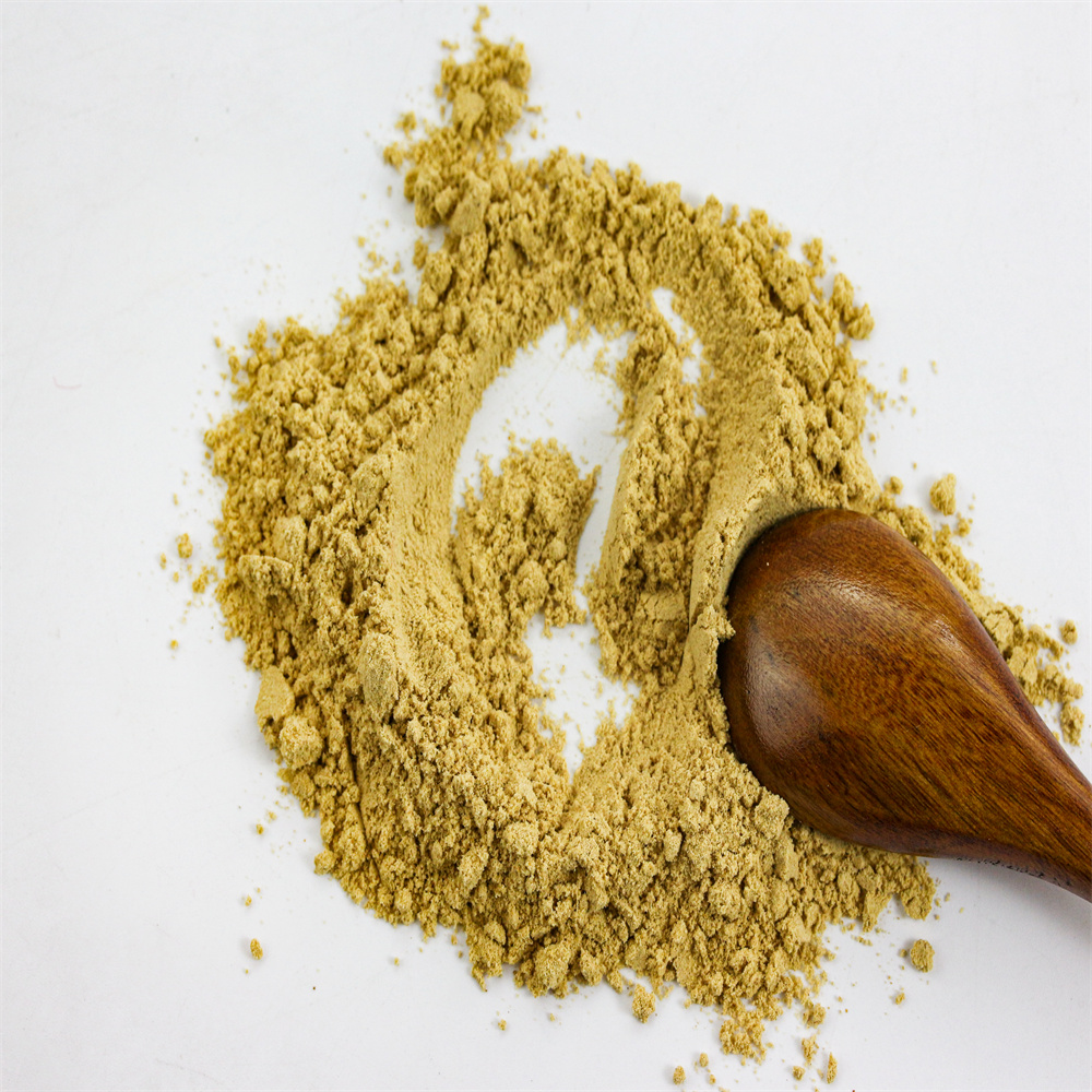 Spicy Turmeric Powder