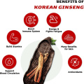 Extracto de ginseng inmune de ginseng energía rojo ginseng polvo