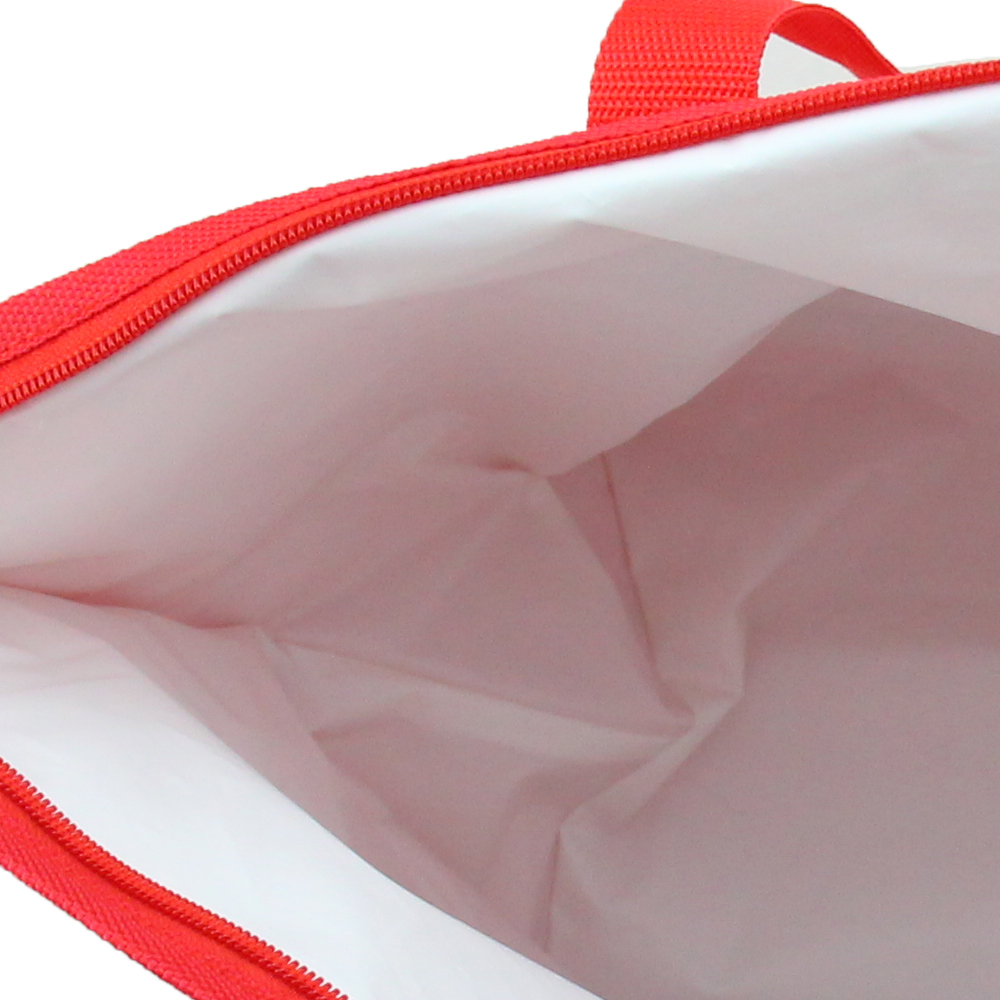 Large Capacity Insulated Cooler Shopping Bag