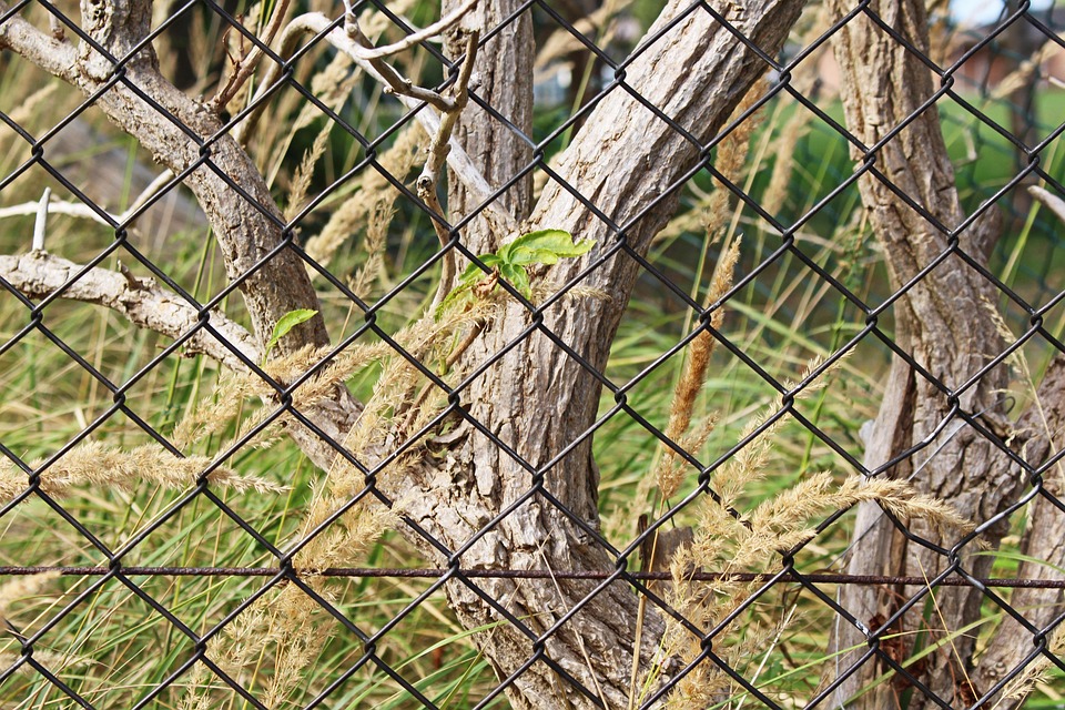 Hexagonal fence5