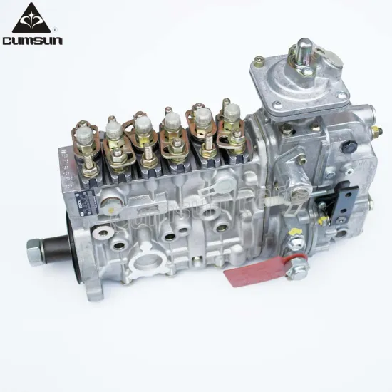 Genuine 6C8.3 engine RSV fuel injection pump 3926881