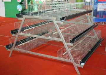 Chickling Cage (JF-YCL-JT01)