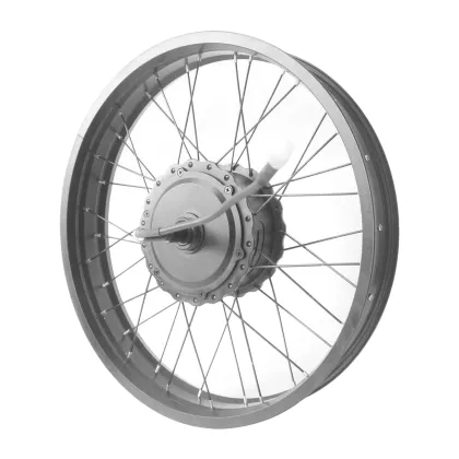 Electric Bike Snow Conversion Kit