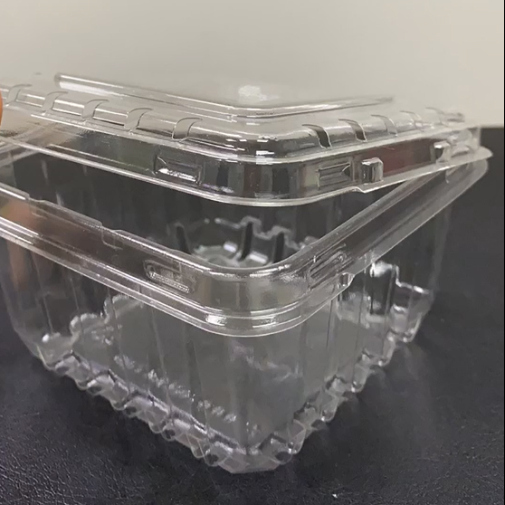 Blueberry Packaging Box Clear