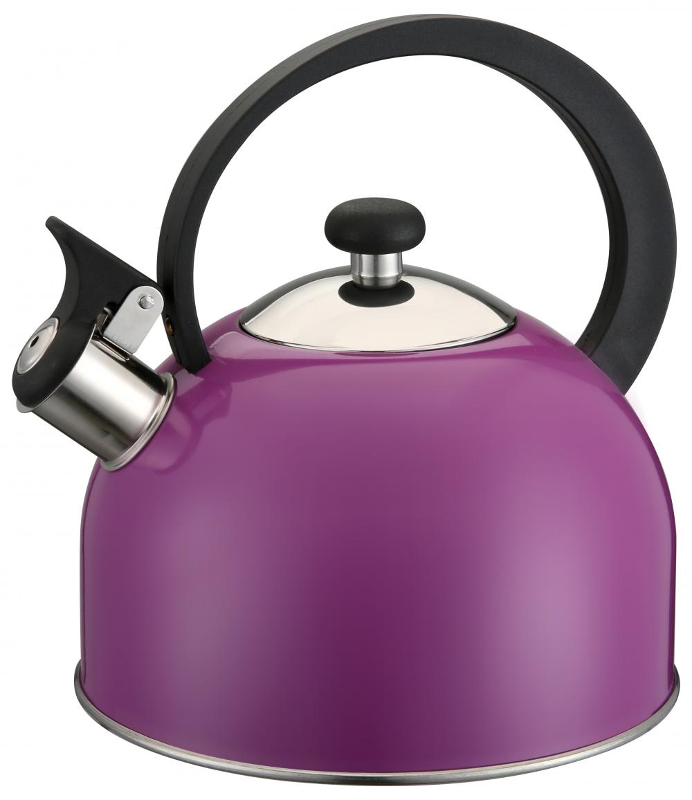 Elegant Purple Whistling Kettle