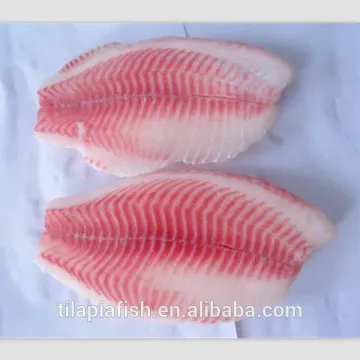 tilapia fillet wholesale price with high quality