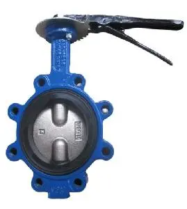 Soft Seat Double Centric Butterfly Valve