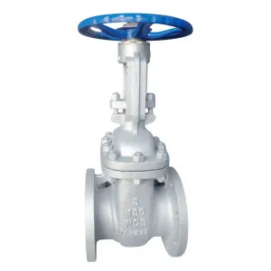 Gate Valve Flange End RF