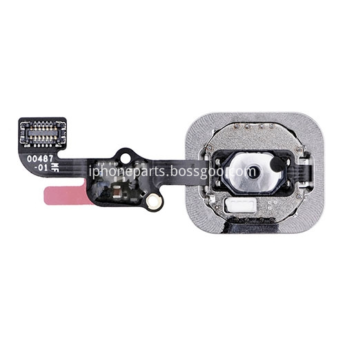 home button with flex