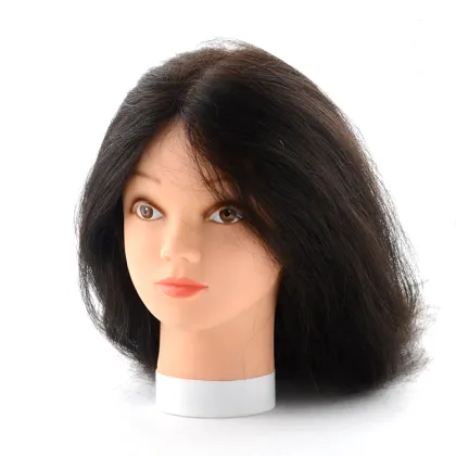 2020 Hot Sale 100% Human Hair Training head Wig Display Head Mannequin
