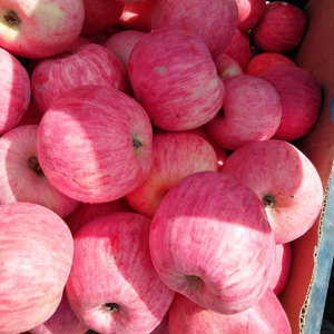 Piedmont brand rich selenium red Fuji apple