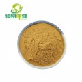 Atractylodes Lancea Root Extract Atractylodes atractylodes