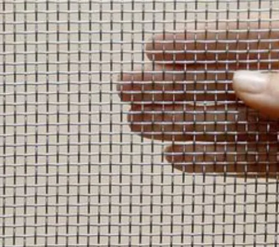 wholesale electro galvanized square wire mesh