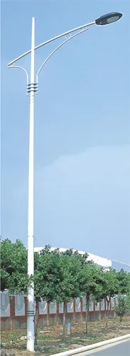 Single Head Street Lighting