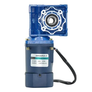 Worm Gearbox Reducer with Electric Single-Phase Motor for 110V/220V Applications