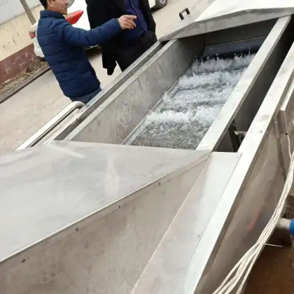 Professional Vegetable and Fruit Washer: Green Vegetable Washing Machine