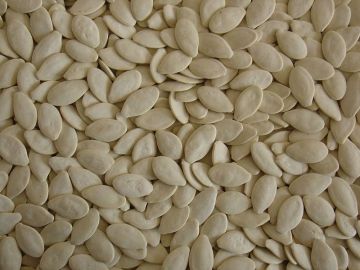 Salt snowwhite pumpkin seeds