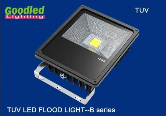 100w Nature White Outdoor Led Flood Light Fcc For Workshops
