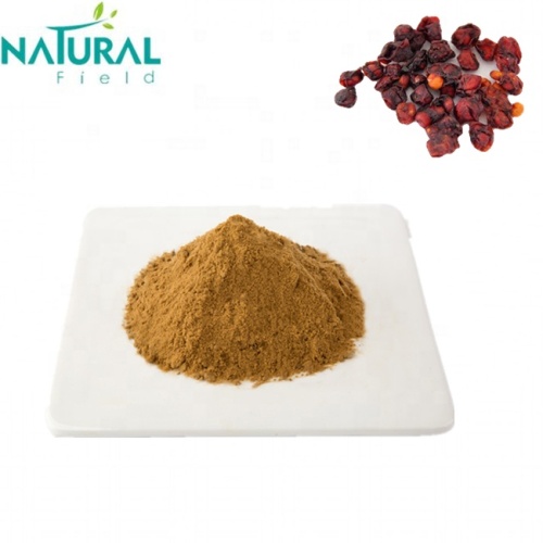 Improving Immunity Extract Schisandra Chinensis Extract Powder Factory