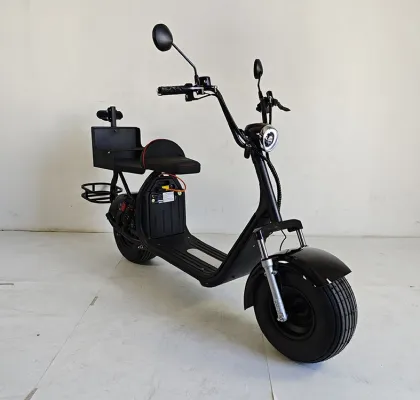 Electric Golf Scooters and Cart Motors for US/European Warehouses