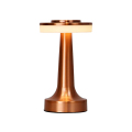 Lndoor LED Table Lamp