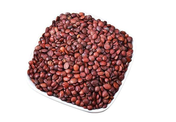 Jujube kernel extract Powder