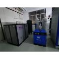 High Purity Psa Nitrogen Generator with Adsorption Dryer