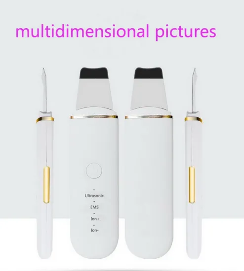 Custom Ultrasonic Skin Scrubber OEM Beauty Skin Ion Device