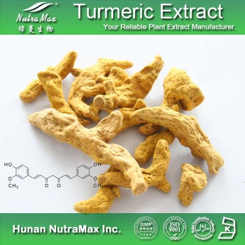 100% Natural Turmeric Extract Powder (5%~95%Curcumin/Curcuminoids)