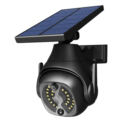 Simulated Camera Motion sensor solar wall lamp
