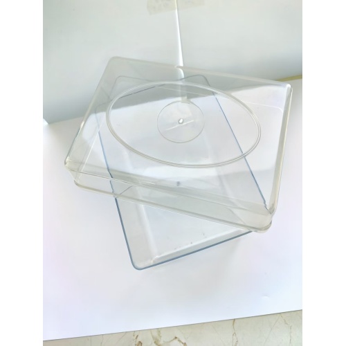 Seed germination plastic box Injection molding