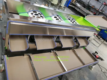 Automated Date Sorting and Grading Machine for Palm Dates and Red Dates