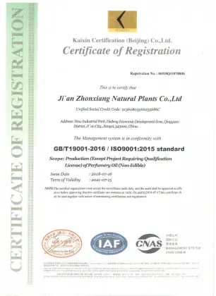 100% Pure natural  ginseng oil