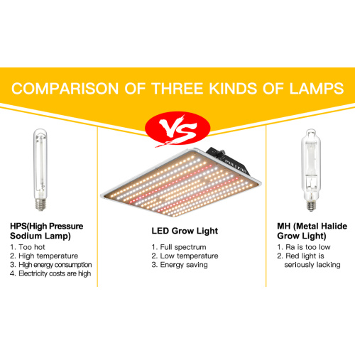 Papan Quantum Led Berkualitas Tinggi