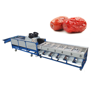 Wholesale Passion Fruit Orange Onion Grading and Sorting Machine
