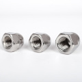 stainless steel doom nut acorn nut