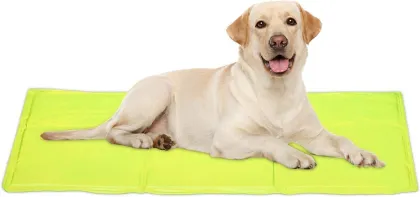 Cooling ice mat for dog