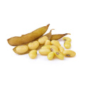 Premium Soybean Phosphatidylserine for Cognitive Support and Memory Enhancement