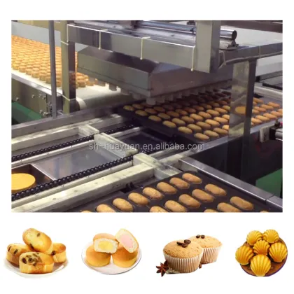 Full Automatic Madeleine Cake Production Line | Jaffa Cake Production Line