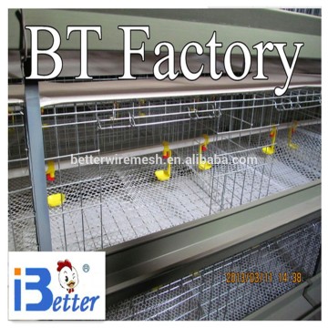 Automatic broiler chicken cage