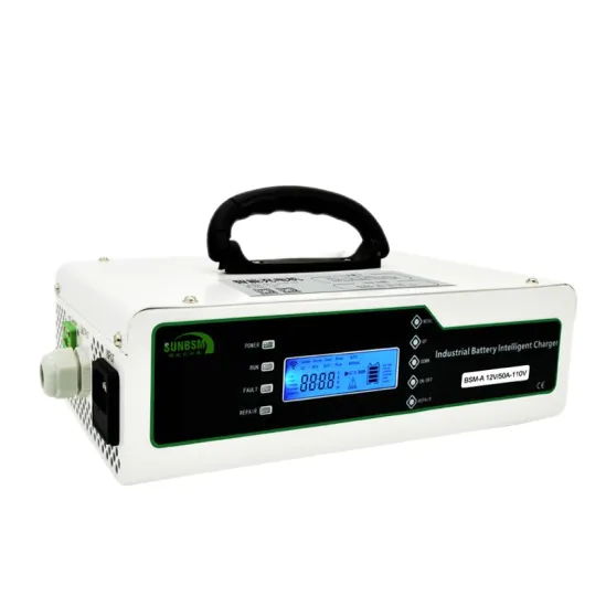 Portable 720W Smart Battery Charger 24V 30A with AC Input 110V/220V