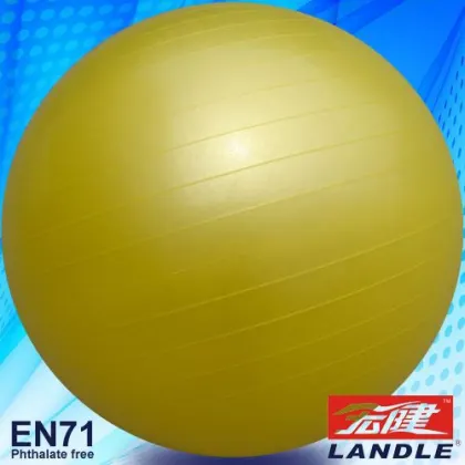 yoga ball exercise ball yoga gym ball