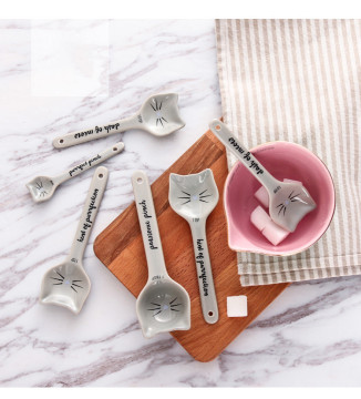 Customized Size Cheap Modern Baking Used Small Spoons Spice Slats Ceramic Measuring Tools