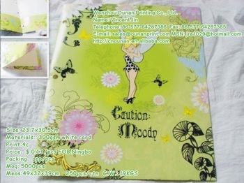 nice A4 office paper file folder