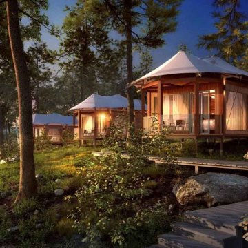Cabin in the Wild: Harvesting Berries, Savoring Flames