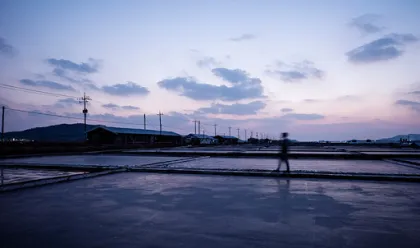 Tarp in Salt Lake City