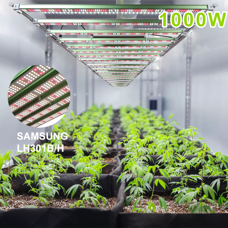 1000W LED GROW LIGHT (3)